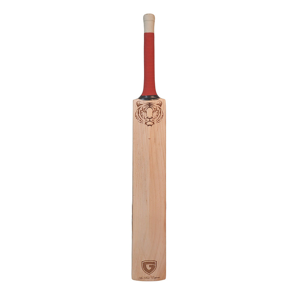 GLS G-8000 Premium Kashmir Willow Cricket Bat; Size: SH