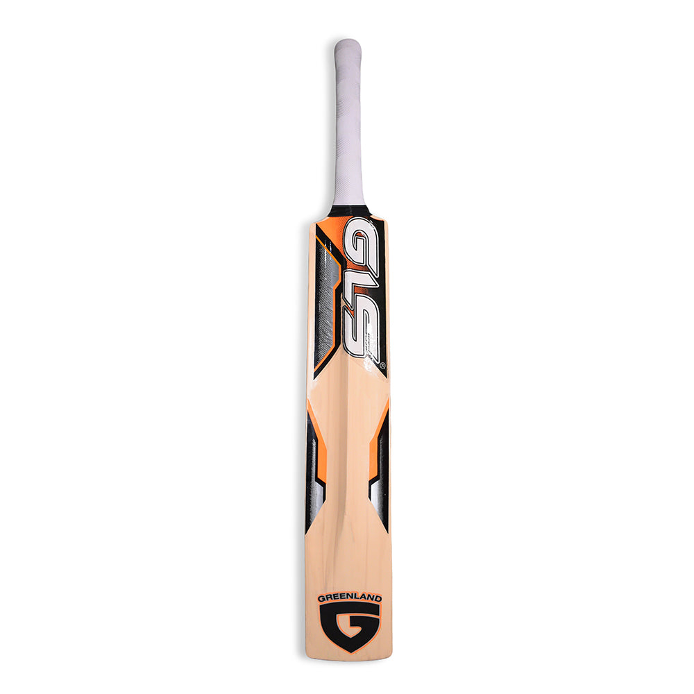 GLS Practice Himachal Willow Cricket Bat