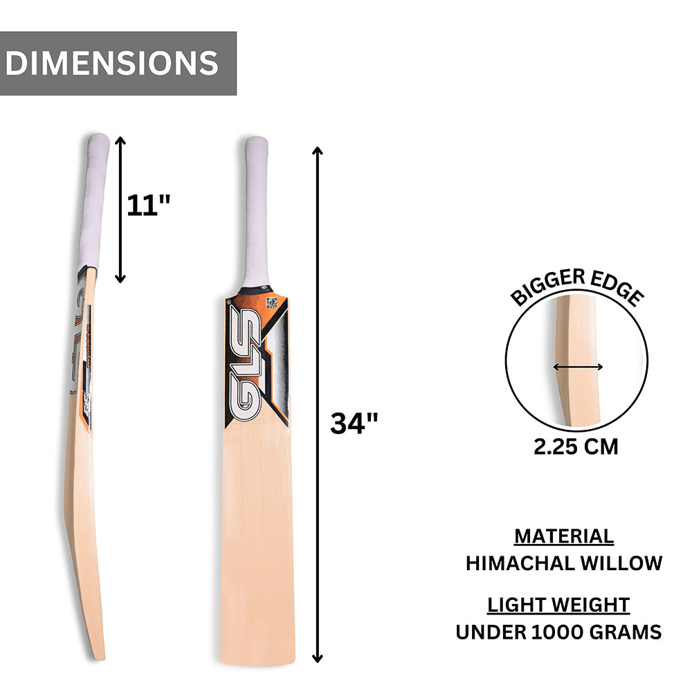 GLS Practice Himachal Willow Cricket Bat