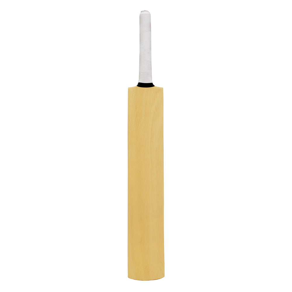 GLS Blade Himachal Willow Cricket Bat