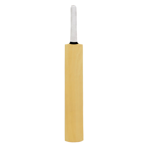 GLS Blade Himachal Willow Cricket Bat