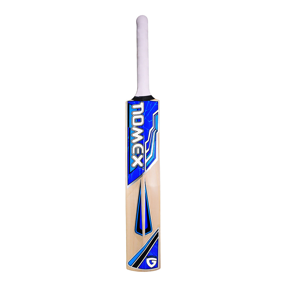 GLS NX-500 Kashmir Willow Cricket Bat