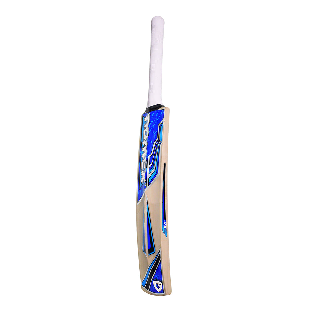 GLS NX-500 Kashmir Willow Cricket Bat